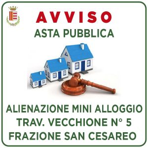 AVVISO DI ASTA PUBBLICA