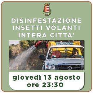 DISINFESTAZIONE INSETTI VOLANTI IN TUTTA LA CITTÀ