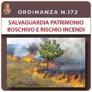 Salvaguardia del Patrimonio boschivo dal rischio incendi- stagione estiva 2022