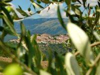 CURE TERMALI 2016 - Richieste entro il 10 maggio - Scarica la domanda