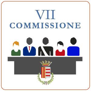 VII _ SANITA'  SERVIZI SOCIALI