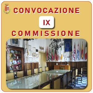 IX Commissione Consiliare