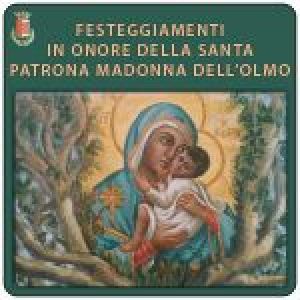FESTEGGIAMENTI IN ONORE SS MADONNA DELL'OLMO 2024