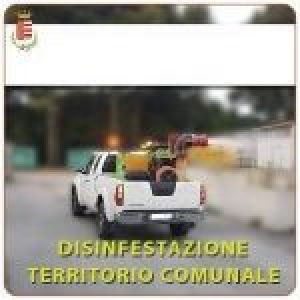 DISINFESTAZIONE ADULTICIDA SU TUTTO IL TERRITORIO COMUNALE